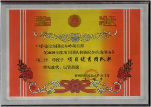 项目优秀团队奖（贺州碧桂园松木岭项目）